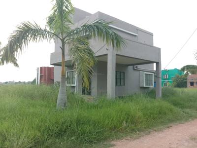Rasapunja Plot View 2