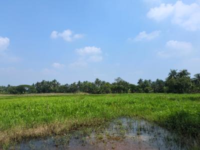 Image of 1080 Sq.ft Residential Plot / Land for sale in Joka, Kolkata for Rs. 255000
