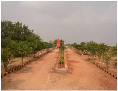 JB Serene Resort Plot View 2