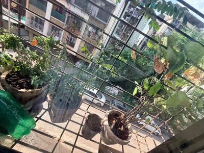 Balcony Image of 350 Sq.ft 1 RK Apartment / Flat for sale in Ghansoli Navi Mumbai for Rs. 4800000