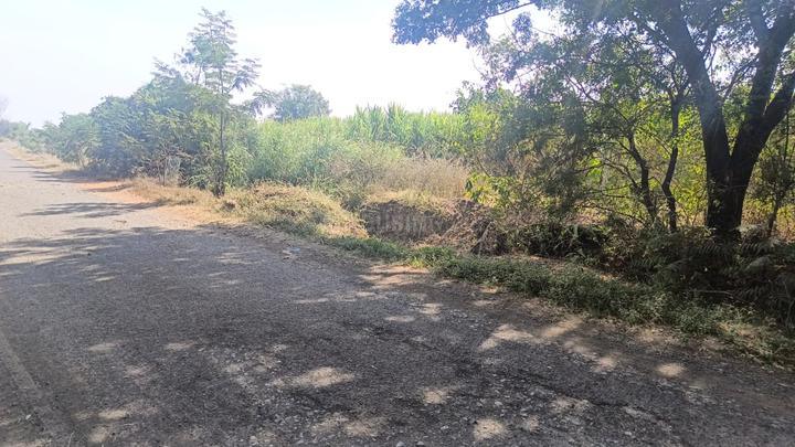 Neel Matha Main Image 1