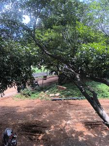 Bedroom Three Image of 3150 Sq.ft 5 BHK Apartment / Flat for sale in Vajarahalli Bengaluru for Rs. 29000100