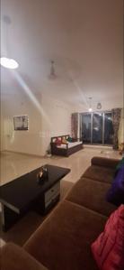 Hall Image of 1000 Sq.ft 3 BHK Apartment / Flat for rent in Lashkaria Empress, Andheri West Mumbai for Rs. 95000