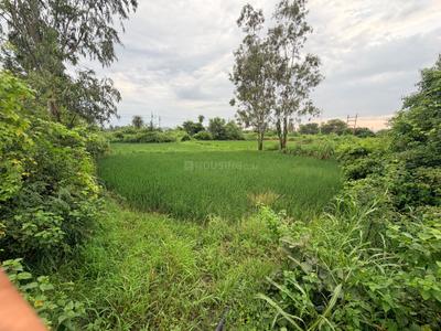 Image of 6500 Sq.ft Residential Plot / Land for sale in Badwai, Bhopal for Rs. 16200000