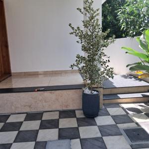 Balcony Image of 3200 Sq.ft 6 BHK Independent House for sale in Kallattumukku Thiruvananthapuram for Rs. 26900000