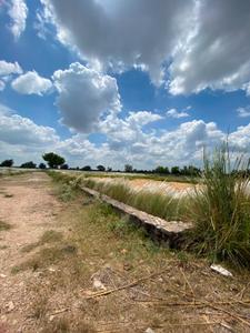 Image of 900 Sq.ft Residential Plot / Land for sale in Khatu, Sikar for Rs. 1200000