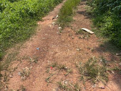 Image of 2177 Sq.ft Residential Plot / Land for sale in Chottanikkara, Kochi for Rs. 550000