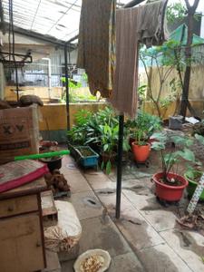 Hall Image of 1800 Sq.ft 3 BHK Independent House for sale in Panvel Navi Mumbai for Rs. 12000000
