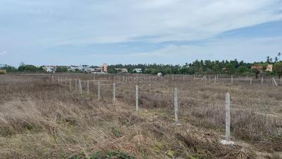Nagaon Plot View 2