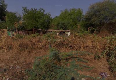 Pipalgone Plot View 2