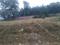 Daladili Main Image 1