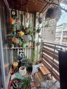 Balcony Image of 1050 Sq.ft 2 BHK Apartment / Flat for sale in Jakkur Bengaluru for Rs. 15000000