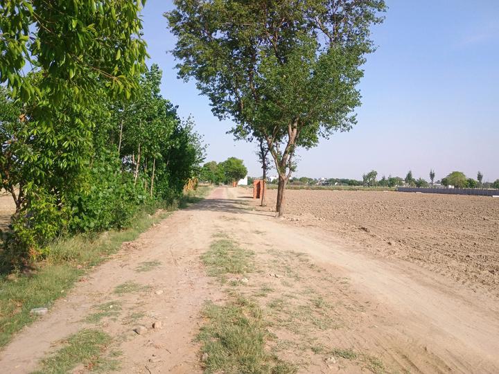 Del Ncr City Main Image 1