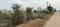 Jagatpura Plot View 2