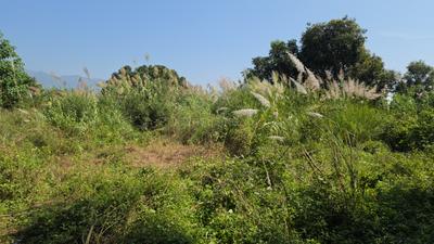 Image of 500 Sq.ft Residential Plot / Land for sale in Basdevpura, Chandigarh for Rs. 40000001