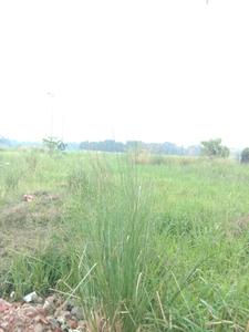 Image of 1180 Sq.ft Residential Plot / Land for sale in Fresco Fountain City Plots, Sankharipota, Raypur for Rs. 530000