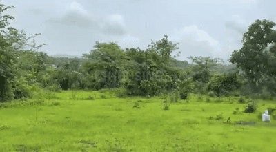 Ritghar village Panvel Plot View 1