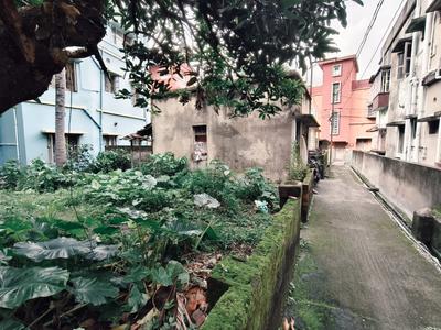 PANPARA 3RD LANE Plot View 3
