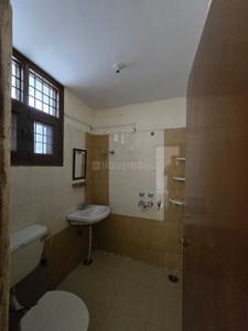 Bathroom Image of 1230 Sq.ft 2 BHK Apartment / Flat for rent in Housefed Flats, Sector 79 Mohali for Rs. 22000