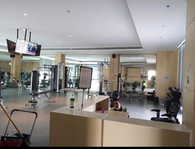 Hall Image of 2352 Sq.ft 4 BHK Apartment / Flat for sale in Paras Dews, Sector 106 Gurgaon for Rs. 21100000