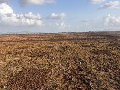 Vindhane Plot View 3