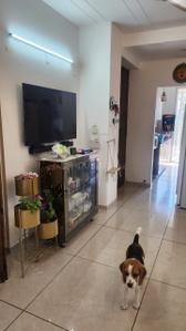 Hall Image of 1450 Sq.ft 3 BHK Apartment / Flat for sale in Imperial Apartments, Kishanpura Zirakpur for Rs. 9000000