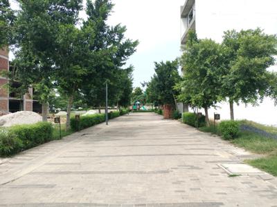 Image of 118 Sq.ft Residential Plot / Land for sale in BPTP District 6 Block L, Sector 84, Faridabad for Rs. 21240000