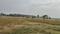 mahabalipuram happy bay Main Image 1