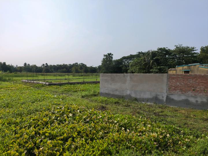 Sonargaon 2 Main Image 1
