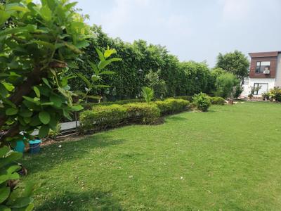 Image of 1500 Sq.ft 3 BHK Farm House for sale in DPL Nature Retreat, Tech Zone, Greater Noida for Rs. 16000000