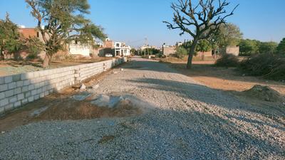 Sirsi Plot View 1