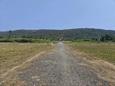 Residential Plot