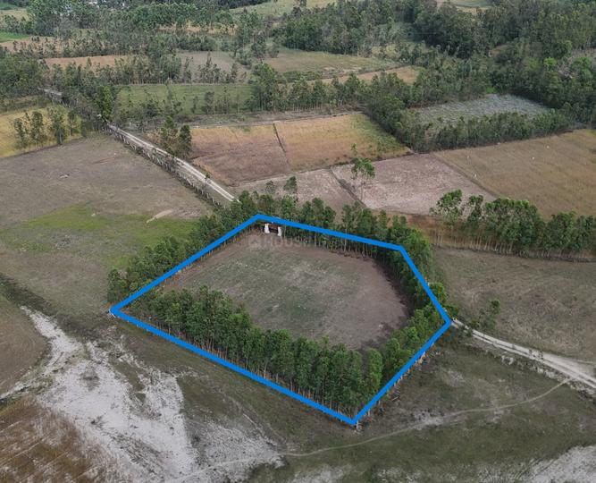 Biharigarh Main Image 1