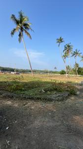 Image of 4356 Sq.ft Residential Plot / Land for sale in Peramangalam, Thrissur for Rs. 4500000