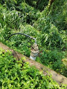 Image of 7500 Sq.ft Residential Plot / Land for sale in Sapgaon, Thane for Rs. 2200000