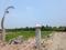 Bhasa Eco Village Main Image 1