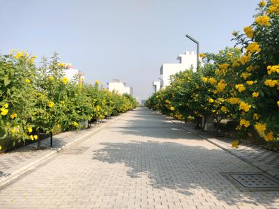 Image of 107 Sq.ft Residential Plot / Land for sale in Mansha Oaks, Sector 98, Faridabad for Rs. 13910000