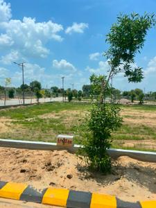 SUNSHINE PLOTS Plot View 3