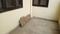 Gaur green city Bedroom One 1