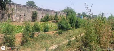 Image of 585 Sq.ft Residential Plot / Land for sale in Jaitpur, New Delhi for Rs. 910000