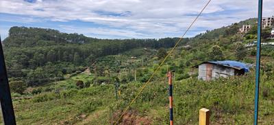 Image of 3539 Sq.ft Residential Plot / Land for sale in Shenbaganur, Kodaikanal for Rs. 9197861