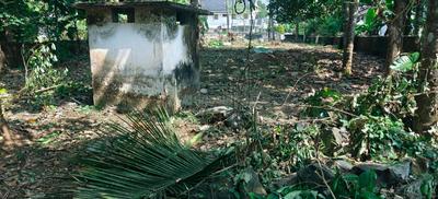 Image of 8276 Sq.ft Residential Plot / Land for sale in Kalady, Kochi for Rs. 10925000