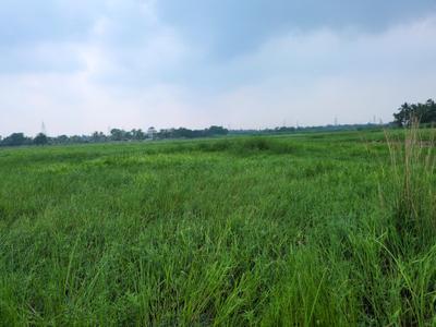 Wander Valley Plot View 2