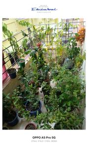 Image of 1250 Sq.ft 3 BHK Apartment / Flat for sale in Jadavpur, Kolkata for Rs. 9500000