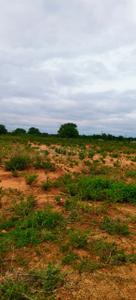 Image of 7260 Sq.ft Residential Plot / Land for sale in Tukkuguda, Hyderabad for Rs. 210000000