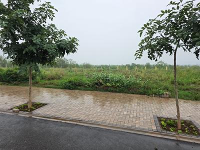 Trident Hills 1 Plot View 2