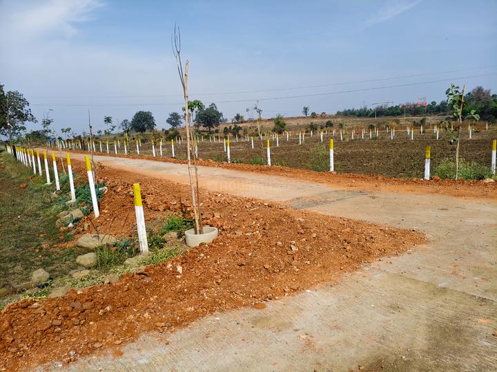 Hanshika farm Main Image 1