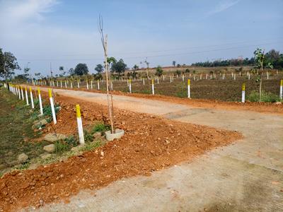 Agricultural Land
