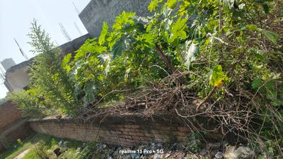 Image of 1000 Sq.ft Residential Plot / Land for sale in Gautam Nagar, Fatehpur for Rs. 1500000