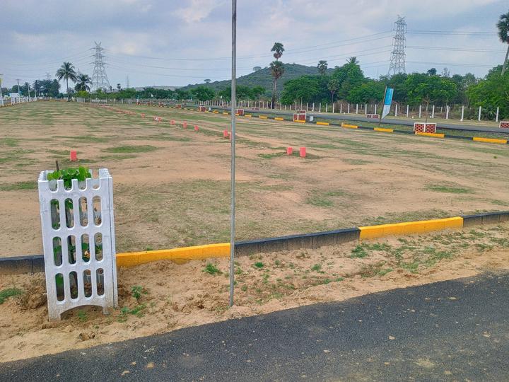 Vip viruksham singaperumal koil Main Image 1